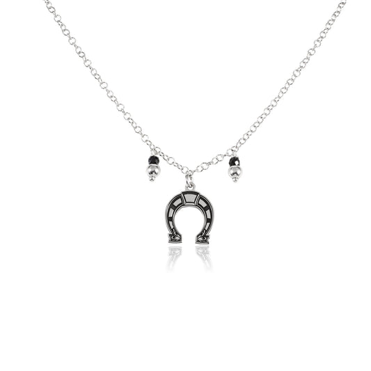 Horseshoe choker necklace and charms